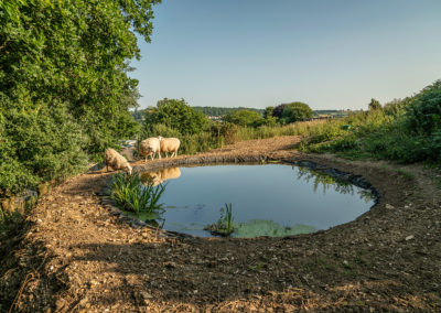 ValleyView HQ Nature Reserve